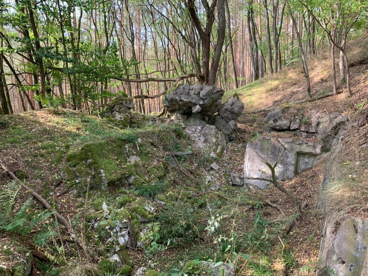 Agroturystyka Gesiniec Stare Osieczno Exterior photo