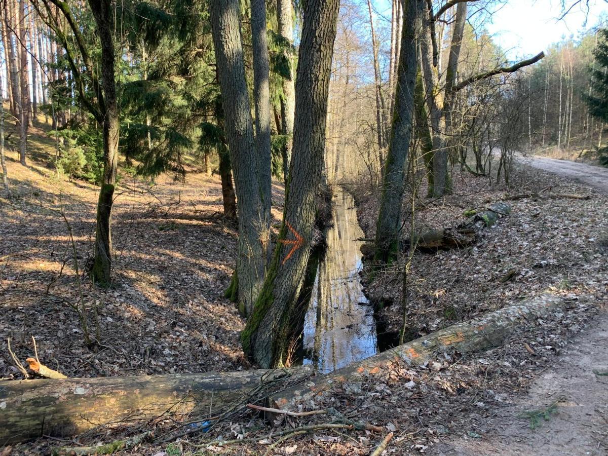 Agroturystyka Gesiniec Stare Osieczno Exterior photo