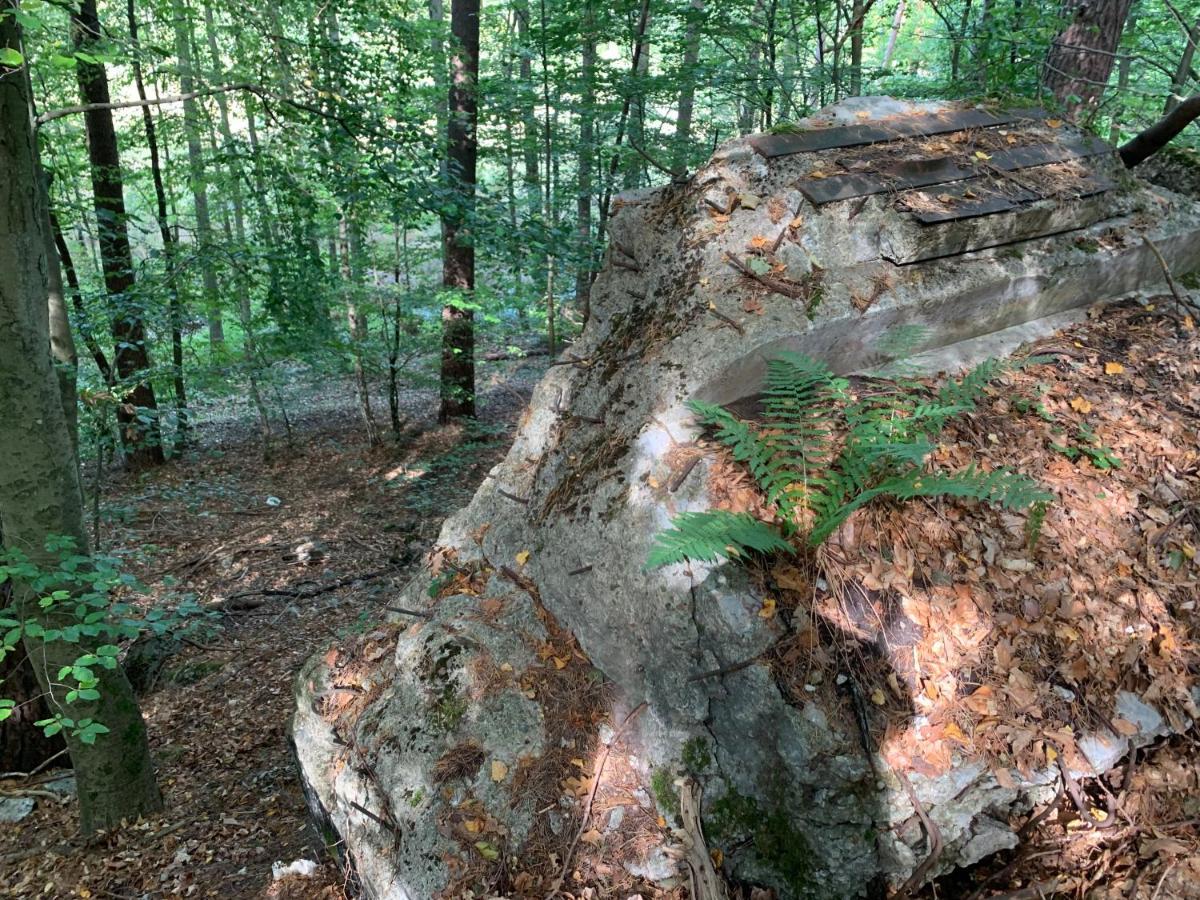 Agroturystyka Gesiniec Stare Osieczno Exterior photo